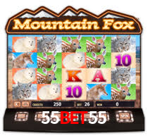55bet55